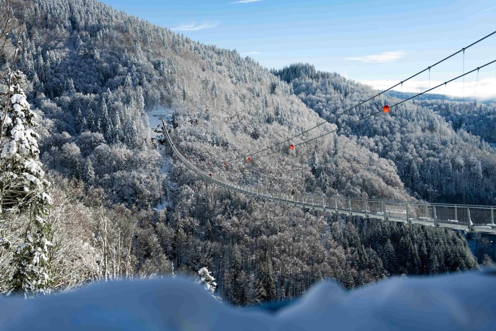 Black Forest Hotel Todtnau Εξωτερικό φωτογραφία