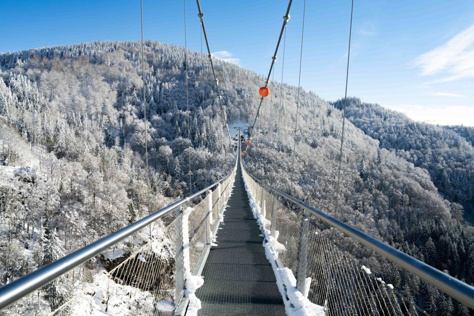 Black Forest Hotel Todtnau Εξωτερικό φωτογραφία
